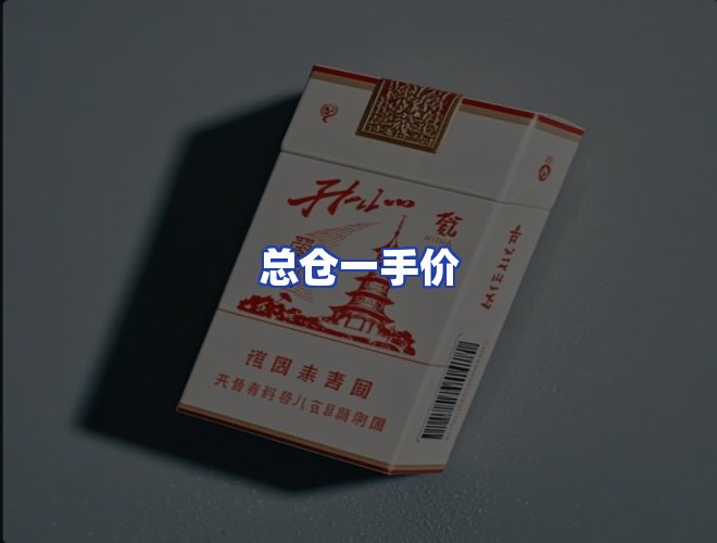 专业团队